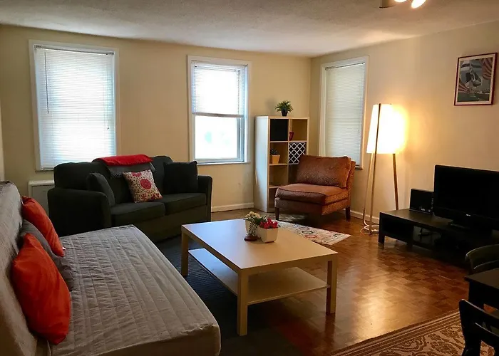 Downtown Oasis 2L
