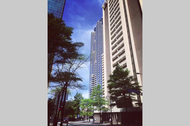 Downtown Oasis 2l *